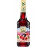 Moulin de Valdonne Grenadine 70cl