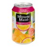 Minute Maid Tropical 33cl (pack de 24)