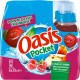 Oasis Pocket Pomme Cassis Framboise 25cl (lot de 4 packs de 6 soit 24 bouteilles)