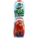 Teisseire Mega Sirop Grenadine 1,5L (lot de 5 bouteilles)