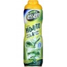 Teisseire Sirop Mojito 60cl (lot de 2 bouteilles)