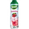 Teisseire Sirop de Grenadine 60cl
