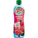 Oasis Sirop Grenadine 1L