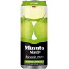 Minute Maid Pomme 33cl SLIM (pack de 24)