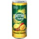 Perrier Juice Ananas & Mangue 25cl (pack de 4)