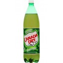 Canada Dry 1,5L (lot de 12 bouteilles)