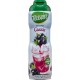 Teisseire Cassis 60cl