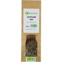 Fructivia Tisane De Gattilier Bio 100g
