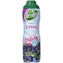 Teisseire Sirop Cassis 60cl (lot de 6 bouteilles)