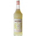 Monin Anis 1L