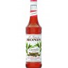 Monin Cannelle 70cl
