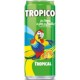 TROPICO TROPICAL 33CL (pack de 6)