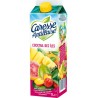 Jus de fruit Caresse Antillaise Cocktail des îles 1L