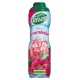 Teisseire Sirop Framboise 60cl (lot de 6 bouteilles)