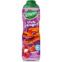 TEISSEIRE Sirop Drago Framboise et Litchi TEISSEIRE