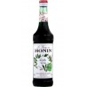 MONIN Sirop Menthe Verte MONIN