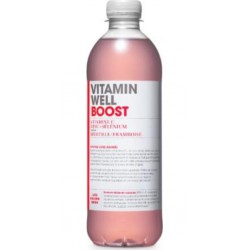 VITAMIN WELL Boisson Vitaminée Boost Myrtille et Framboise VITAMIN WELL