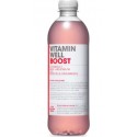 VITAMIN WELL Boisson Vitaminée Boost Myrtille et Framboise VITAMIN WELL