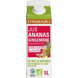 ETHIQUABLE Jus de Fruits Ananas Gingembre Bio ETHIQUABLE