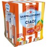 SAN PELLEGRINO Boisson Gazeuse Aromatisée Orange Sanguine Ciao ! SAN PELLEGRINO