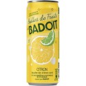 Badoit Bulles de Fruits Citron Touche de Citron vert 33cl